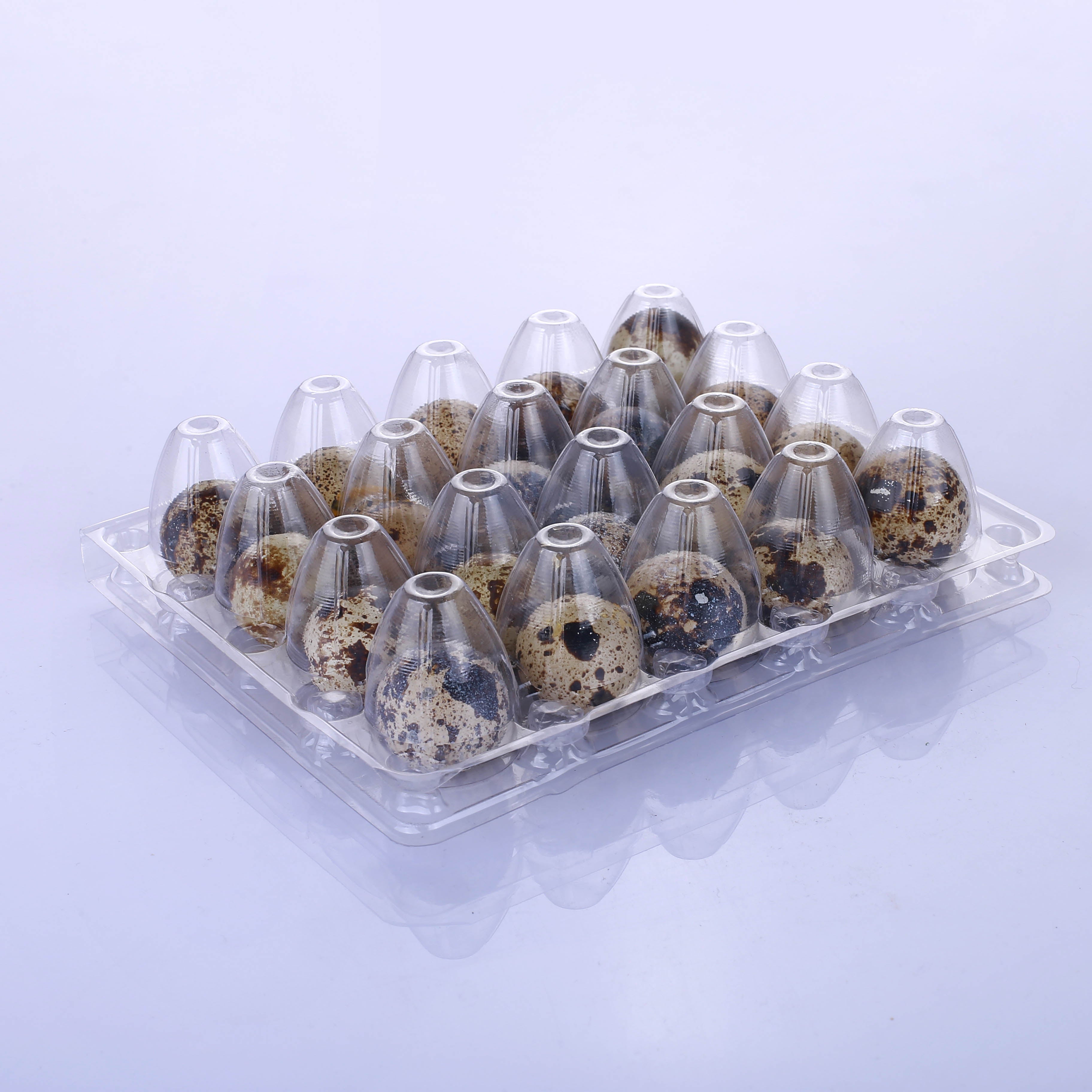 20-Hole Plastic Quail Egg Cartons