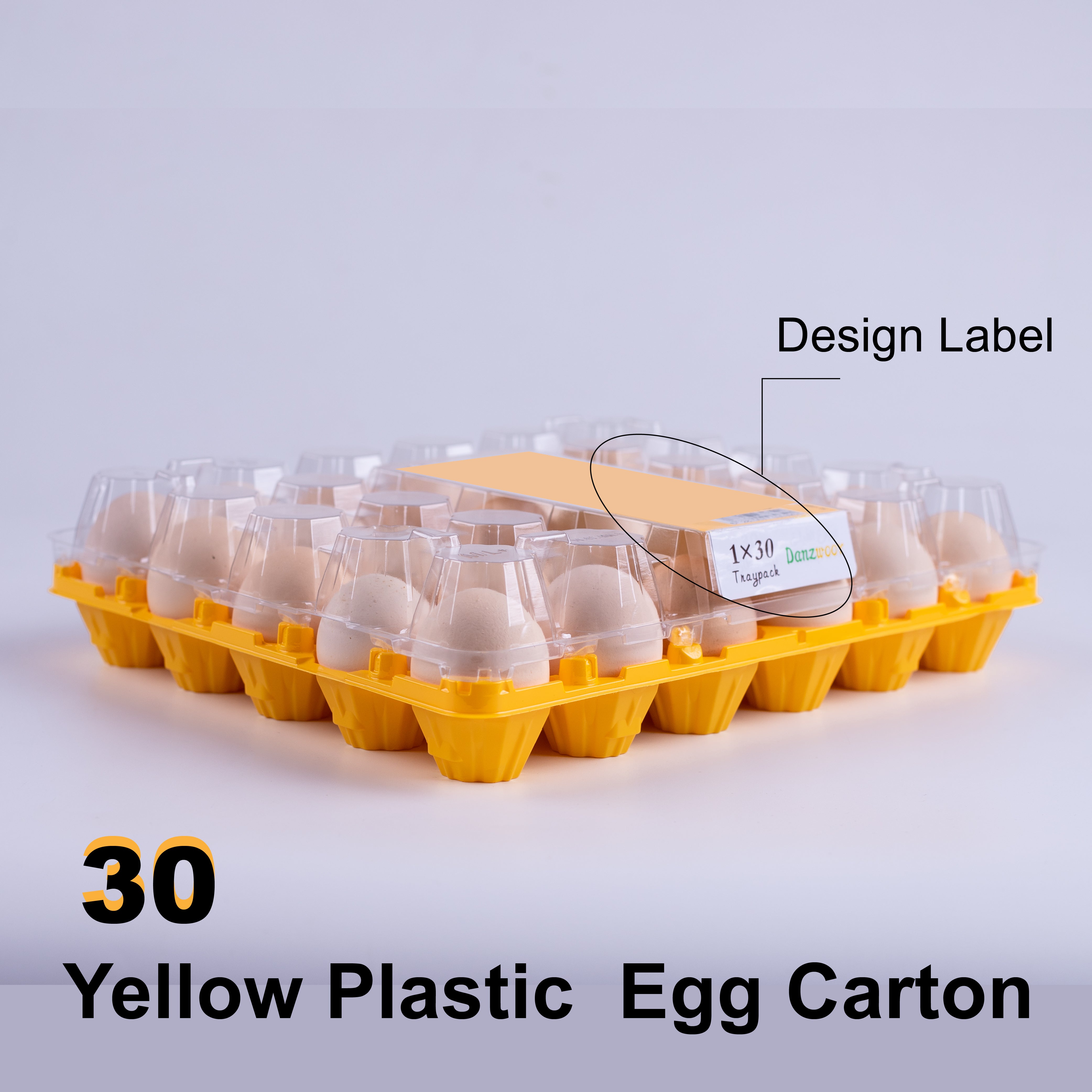 Customizable Colored Plastic Egg Trays (Set of 30)