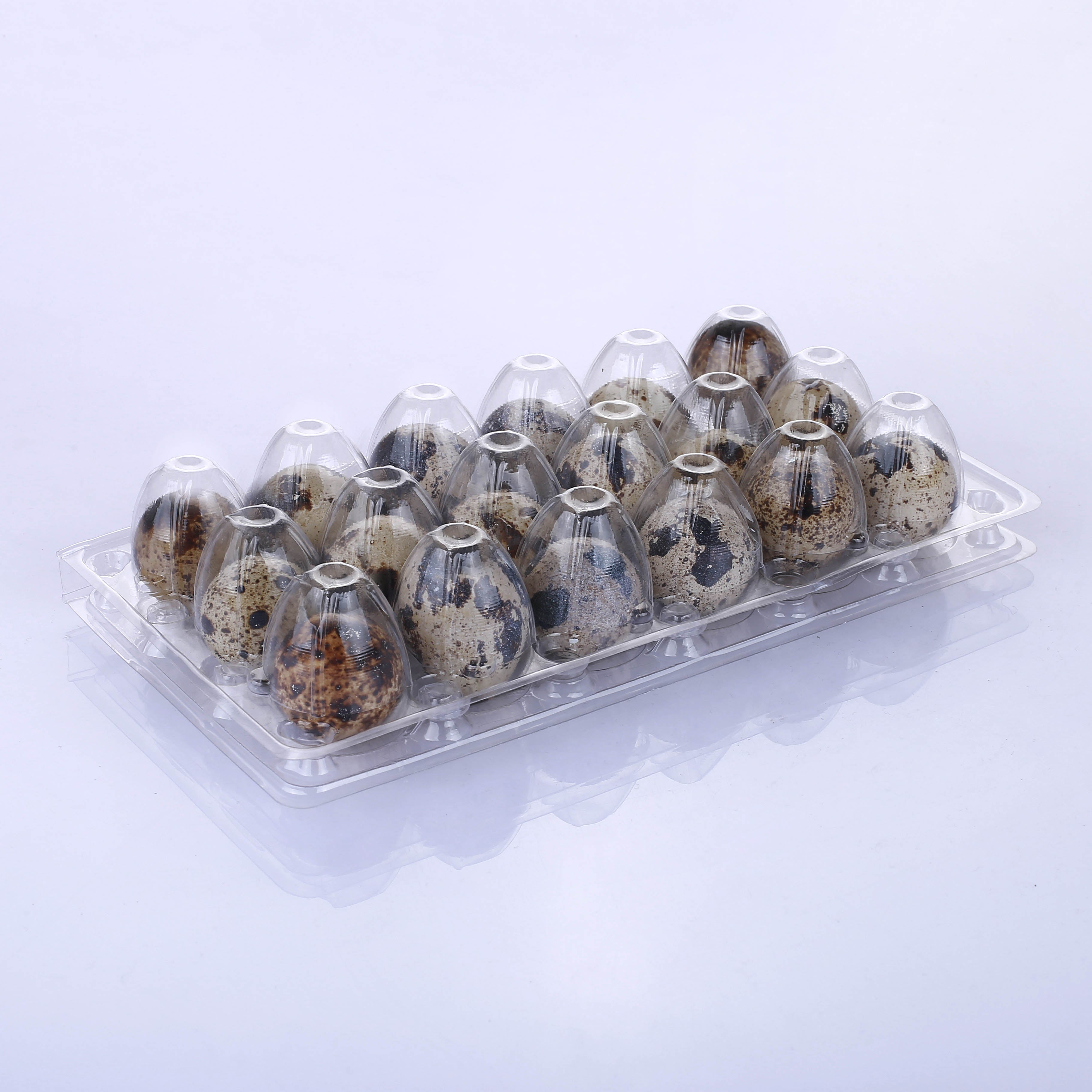 18-Hole Plastic Quail Egg Cartons