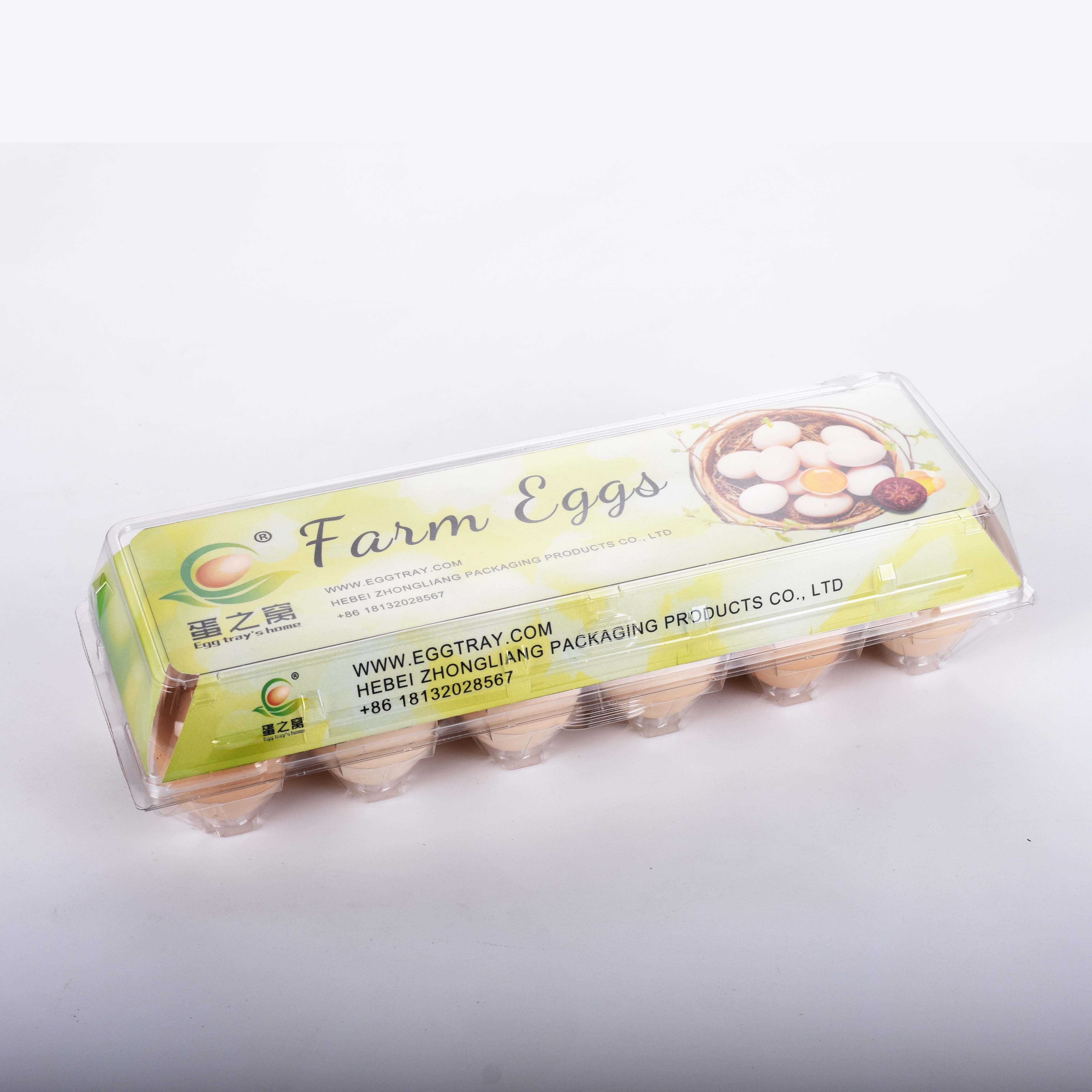 Triple-Fold Plastic Egg Trays: Enhanced Protection, Easy Access, and Eco-Friendly Features