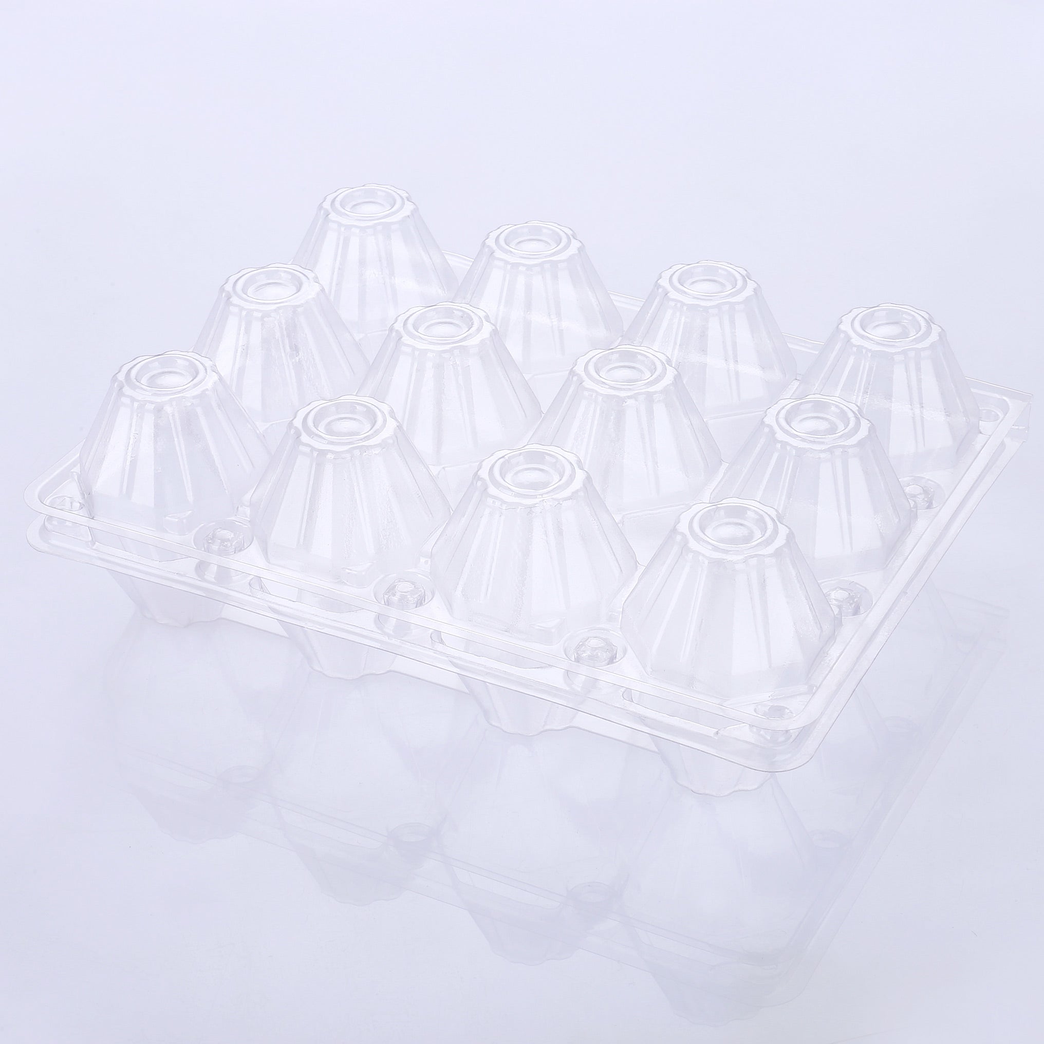 12-Egg Plastic Cartons