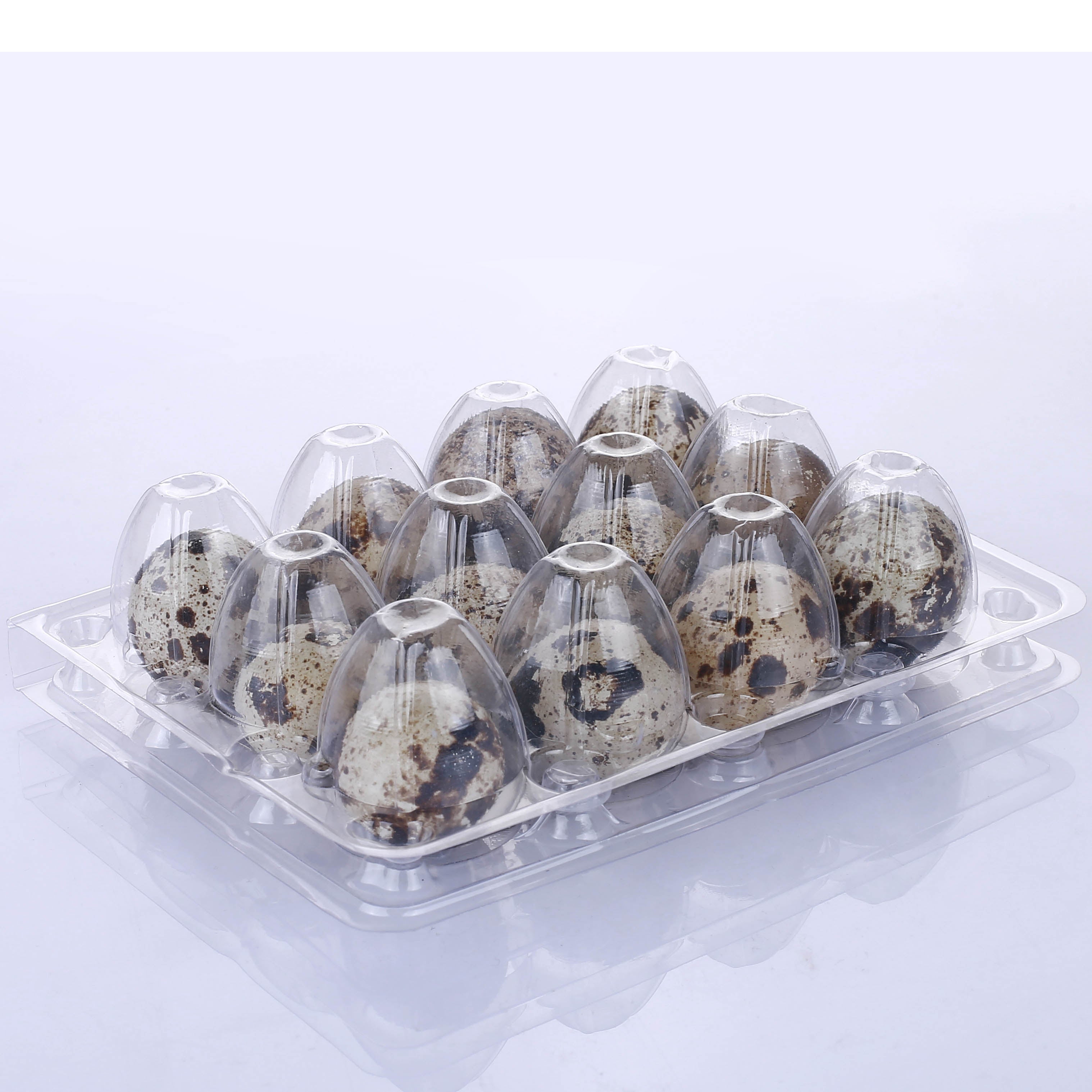 12-Hole Plastic Quail Egg Cartons