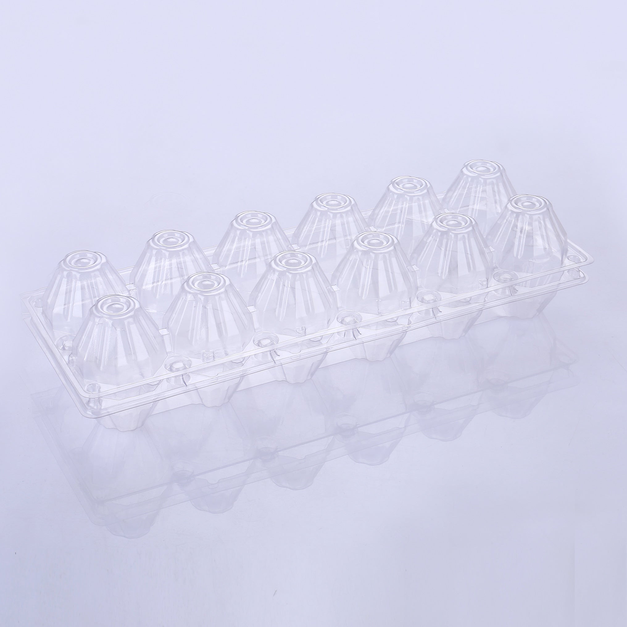 12-Egg Plastic Cartons