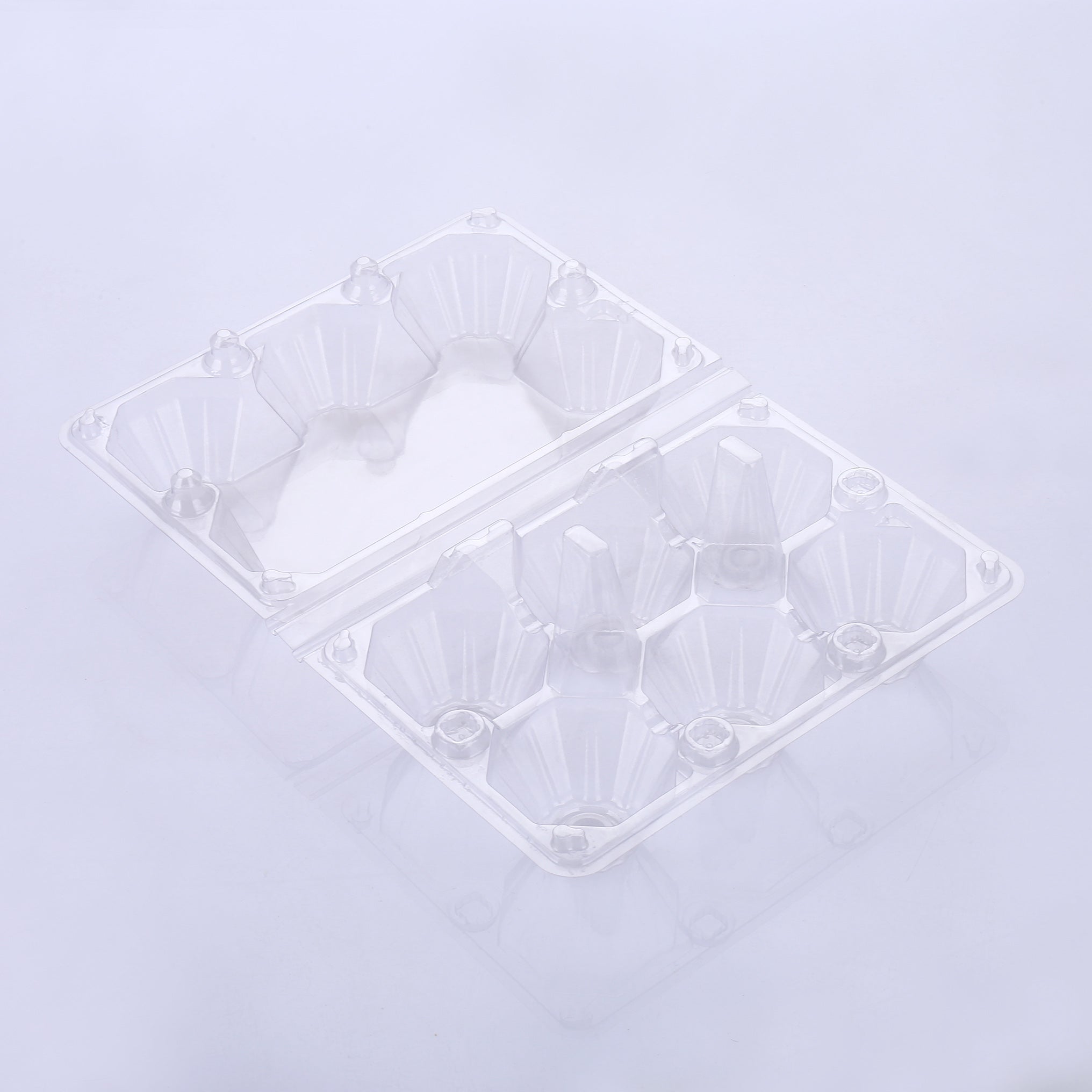 6 plastic egg cartons