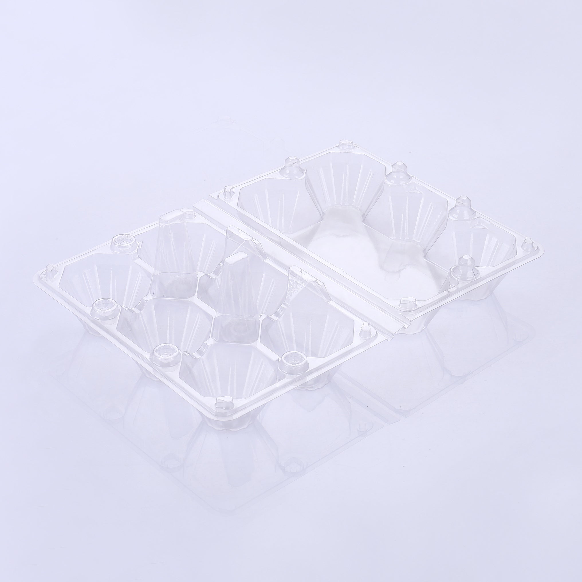 6 plastic egg cartons